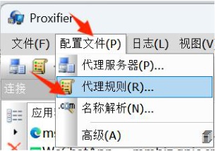 配置代理规则名称和程序 配置代理规则名称和程序