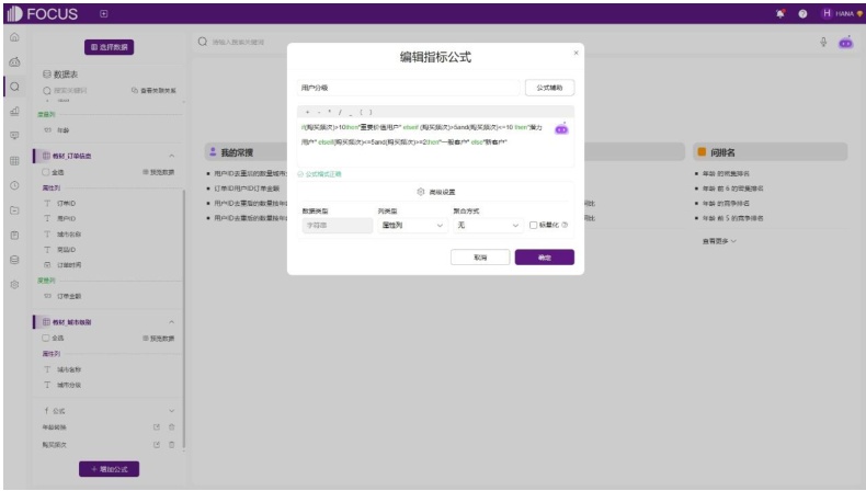 在DataFocus中使用IF逻辑函数和嵌套公式来定义“用户分级”的界面。