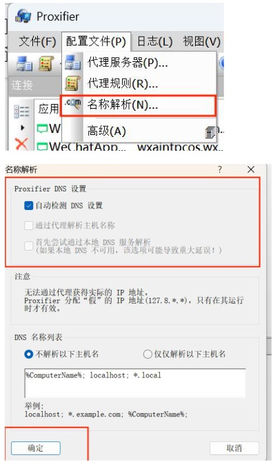 Proxifier 名称解析设置