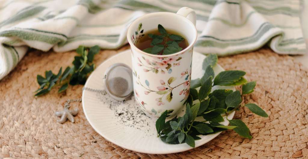 페퍼민트 차 한 잔