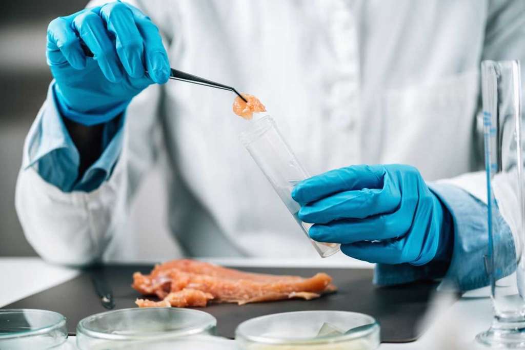 食品企业HACCP危害分析与关键控制点管理