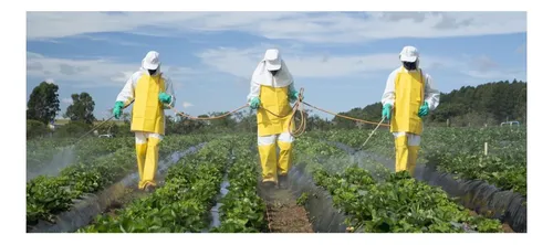 Trabajadores agrícolas con equipo de protección completo.