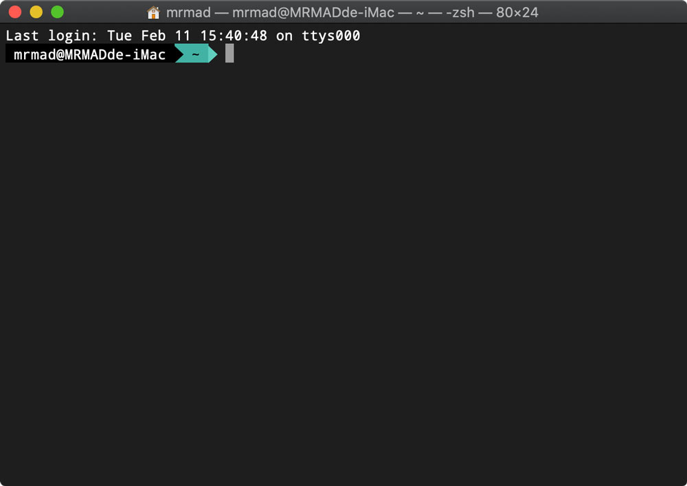 在終端機中執行指令