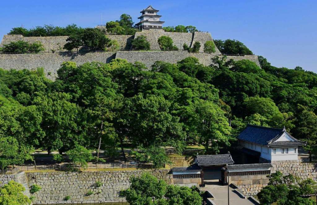 丸亀城の天守と石垣