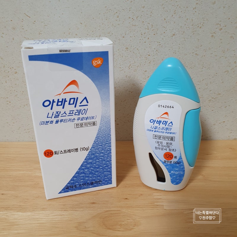 알레르기 비염 치료용 비강 스프레이