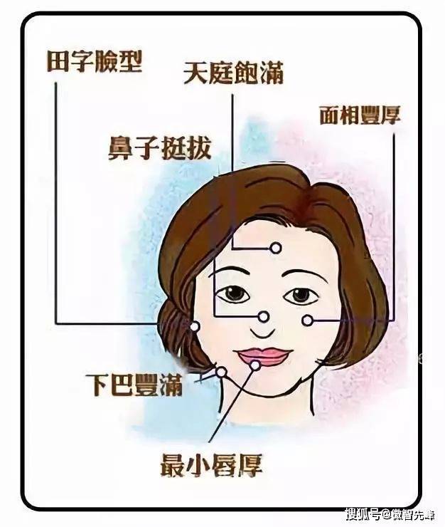 女人面相算命,女人面相算命图解大全第3张