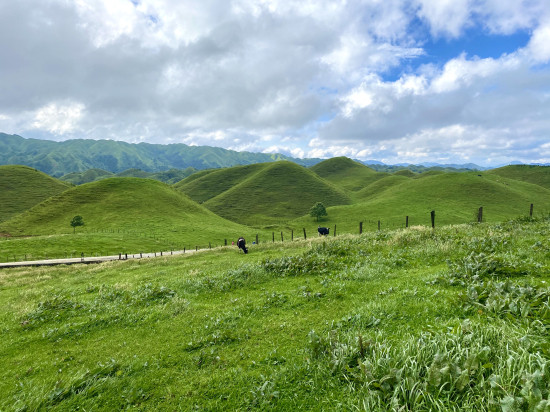 乌鲁木齐旅游攻略自助游攻略,乌鲁木齐旅游全攻略第7张