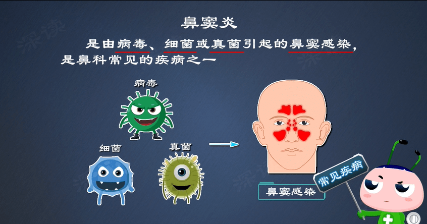 鼻子有哪些常见的疾病第1张