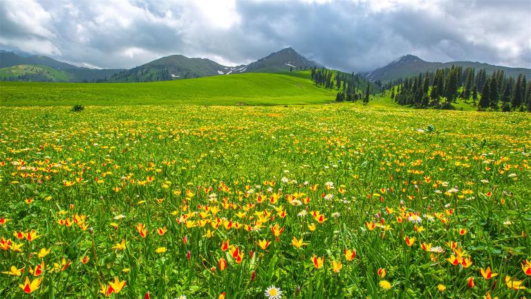 新疆最美的十个地方,新疆最美的十个地方简介第3张