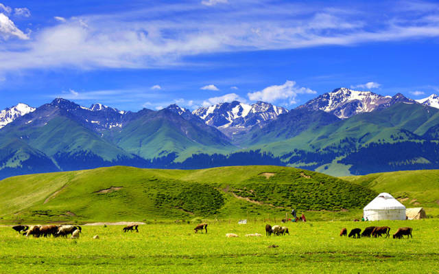 新疆必去的10个景区,新疆必去的10个景区伊犁第2张