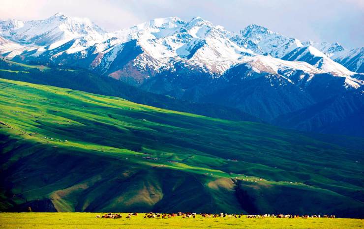 新疆旅游攻略必玩的景点,五月新疆旅游攻略必玩的景点第3张