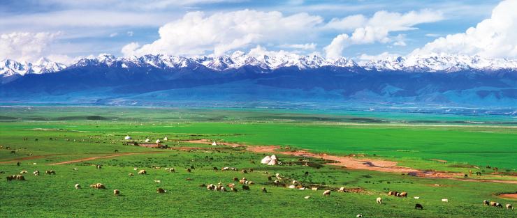 新疆必去的10个景区,新疆必去的10个景区伊犁第3张