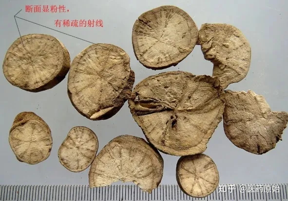 如何鉴别真假防己第1张