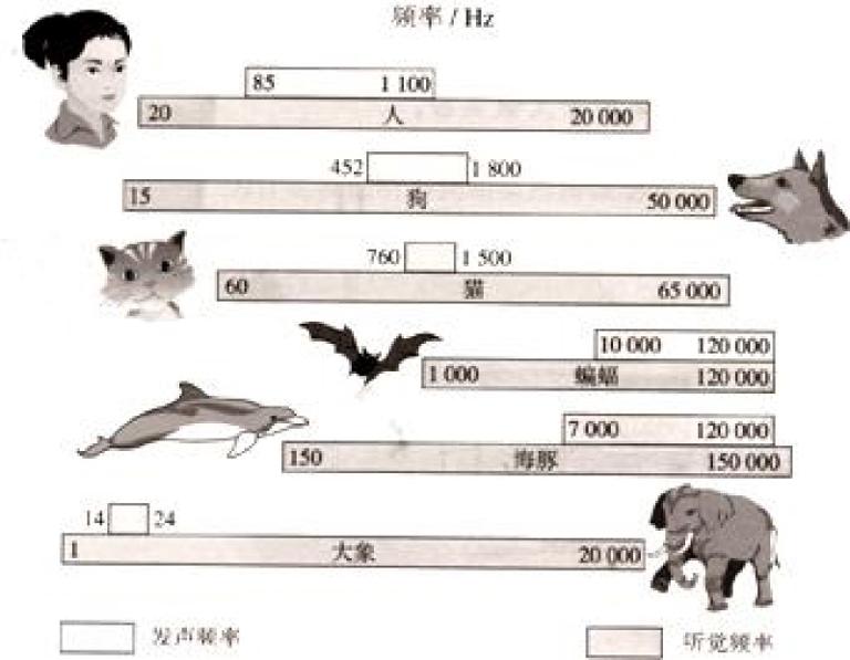 为什么有些动物对频率敏感而有些则不然第1张
