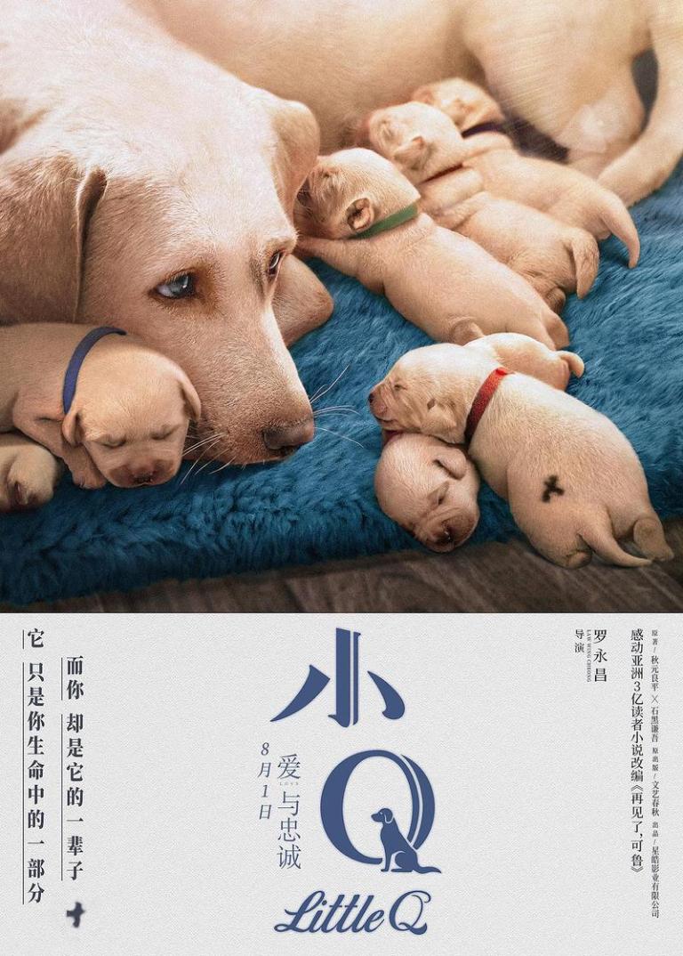 推荐一些好看的狗狗为主角的电影或电视剧第7张